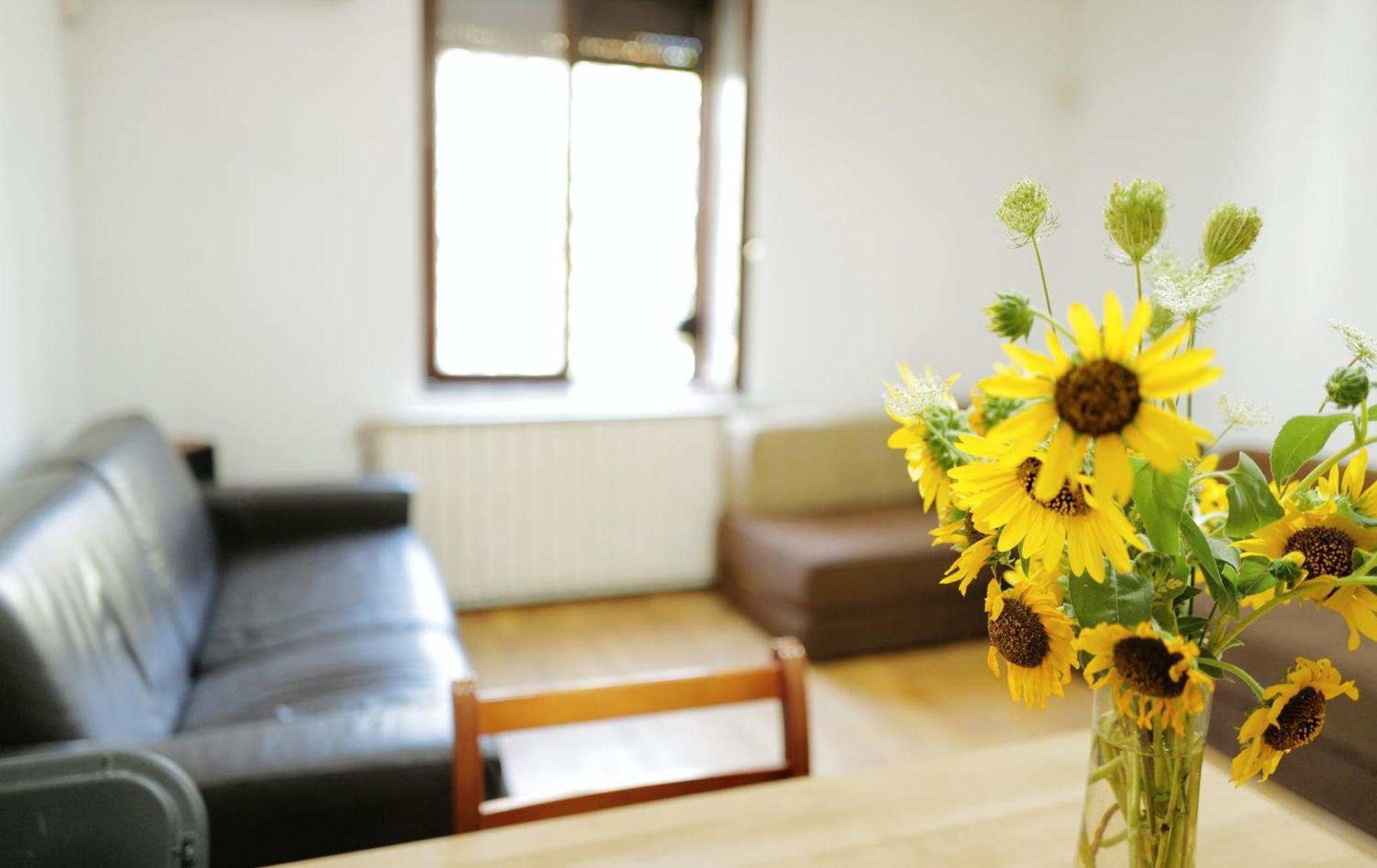 Happy Cat Old Town Hostel 베오그라드 외부 사진