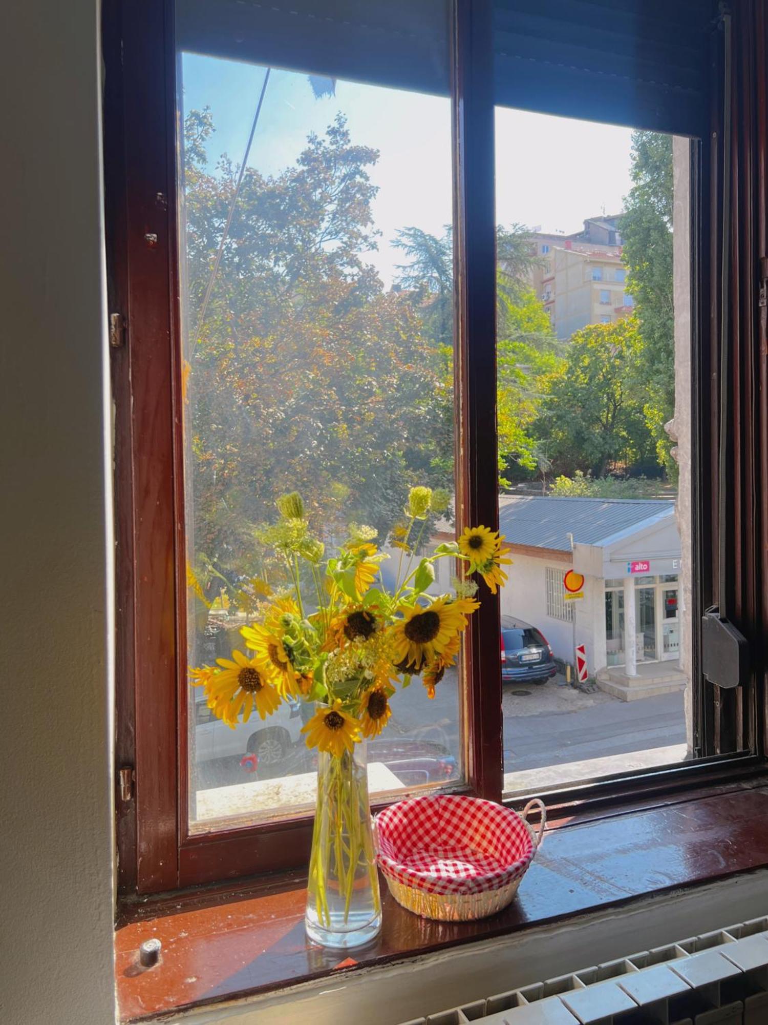 Happy Cat Old Town Hostel 베오그라드 외부 사진